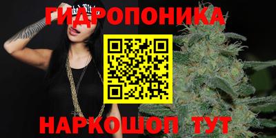 прущие грибы Заводоуковск