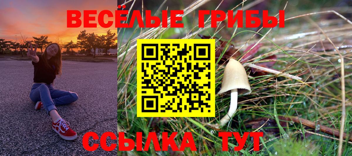 Галлюциногенные грибы GOLDEN TEACHER Кыштым