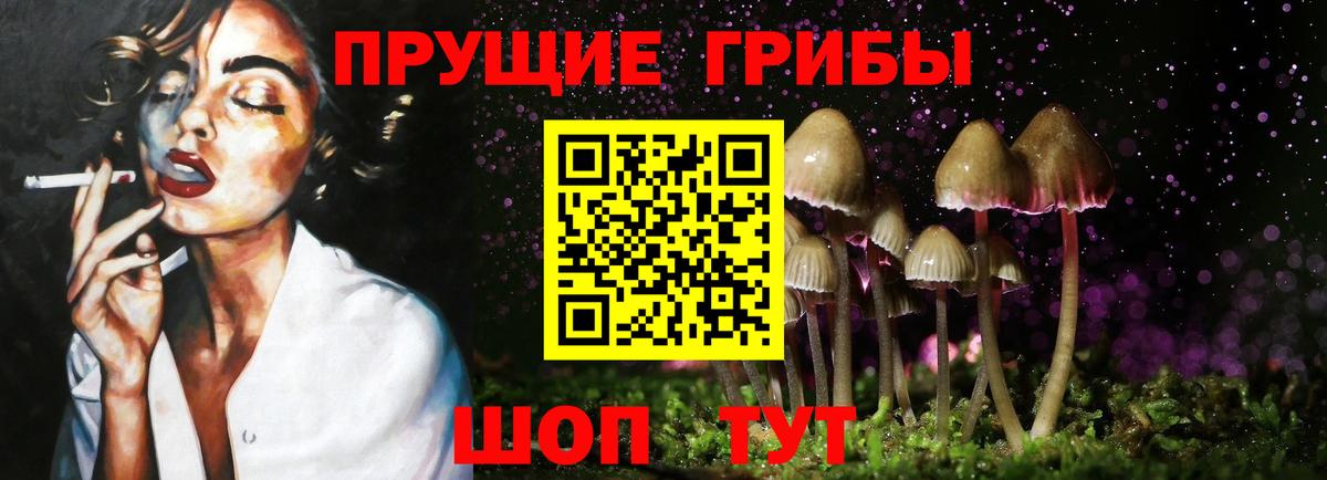 Псилоцибиновые грибы MAGIC MUSHROOMS  наркотики  Кыштым  Вход с VPN 